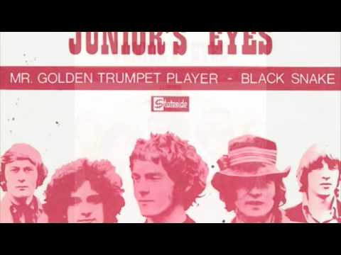 JUNIOR'S EYES - black snake