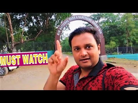 Do not go to GIR FOREST, without watching this video | Gujarat Ep-6