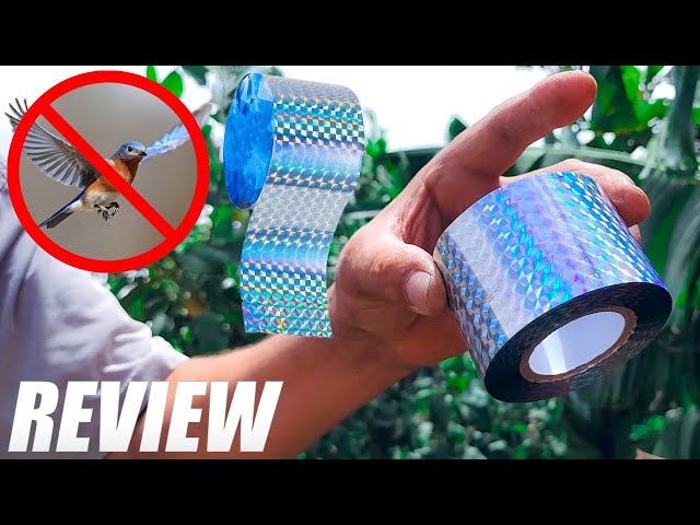 Vídeo relacionado con 6 Piezas Colibríes Se Aferra a Ventana Adhesivos de Ventana Anticolisión Calcomanías para Evitar Golpes de Pájaros en Ventana Adhesivo de Vinilo no Adhesivo de Vidrio Colibrí Pegatinas (6 Piezas)