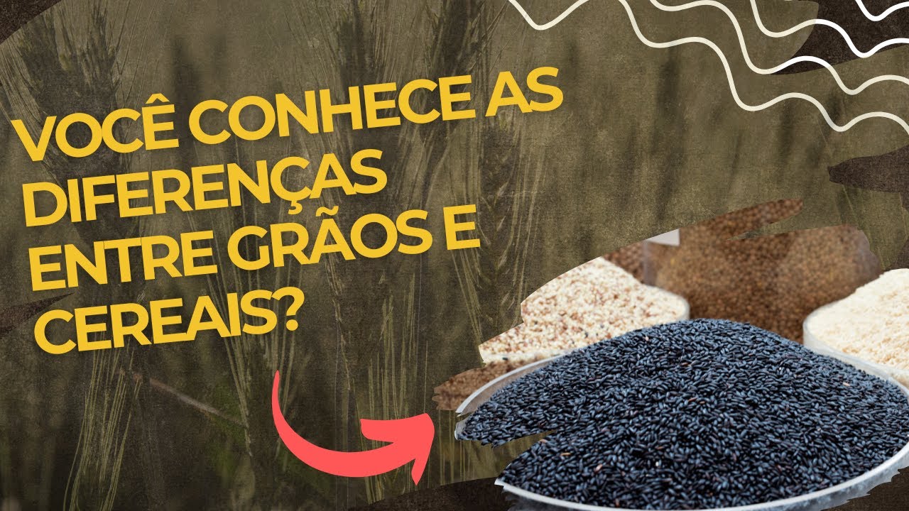VOCÊ CONHECE AS DIFERENÇAS ENTRE GRÃOS E CEREAIS? E as sementes? Acredita que é tudo igual?