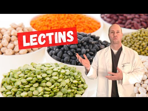 LECTINS and AUTOIMMUNE CONDITIONS - Are Foods High in Lectins Really an Immune Problem For You?