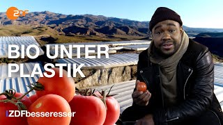 Billiges Bio: Nelson deckt die Tricks bei spanischen Tomaten auf