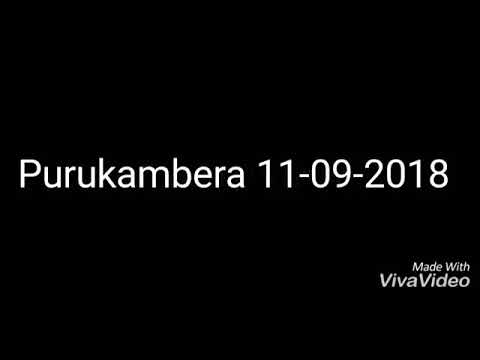 Puru kambera 11-09-2018
