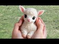 One Of The Cutest Baby Animal Videos Ever Cute Animal Videos