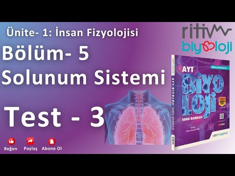 Prof .Dr. Bülent Gündüz - 01 Biyoritim