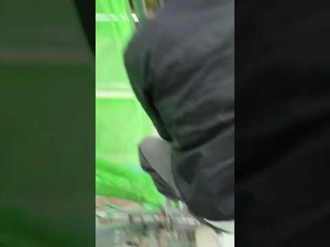 鳩が庭やバルコニーの植木鉢に卵を産まないようにするための 5 つ以上のヒント  庭園