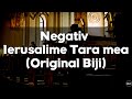 Negativ IERUSALIME TARA MEA Original Biji