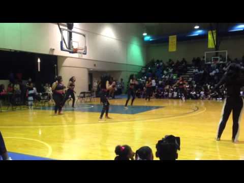 Black Sapphire Dance Company Sr. Team Fast Stand Round 1 3/4/17