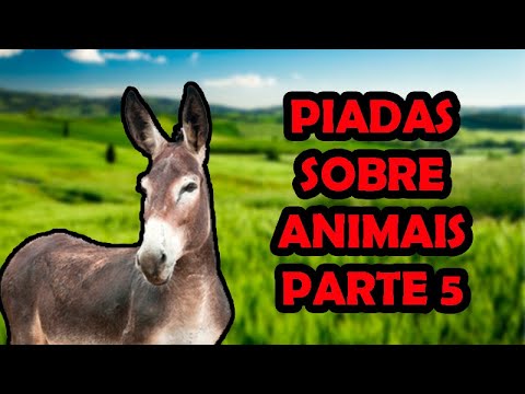 JOKES ABOUT ANIMALS PART 5 - COMEDIAN THIAGO DIAS