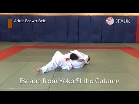 JFAUK Grading Syllabus: Adult Brown Belt