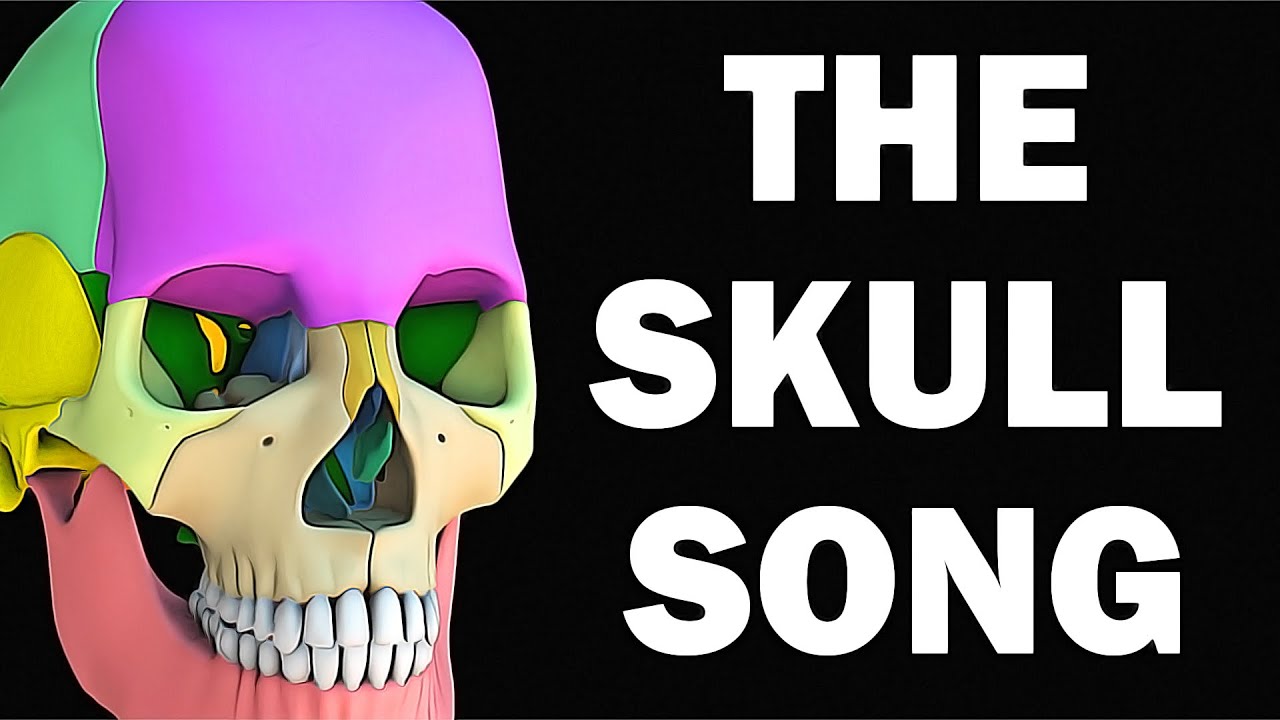 THE SKULL BONES SONG