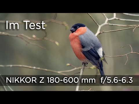 Im Test: Nikkor Z 180-600 mm f/5.6 - 6.3