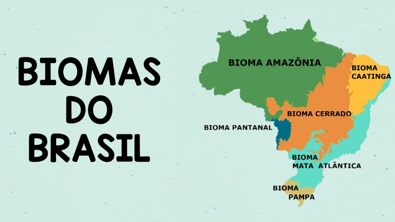 OS BIOMAS DO BRASIL | RESUMO ESCOLAR