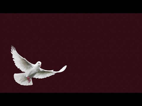 download lagu mp3 mp4 Tajemnica Szczcia, download lagu Tajemnica Szczcia gratis, unduh video klip Tajemnica Szczcia
