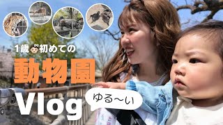 【Vlog】1歳初めての動物園🦏🐆🦌🐨🦁
