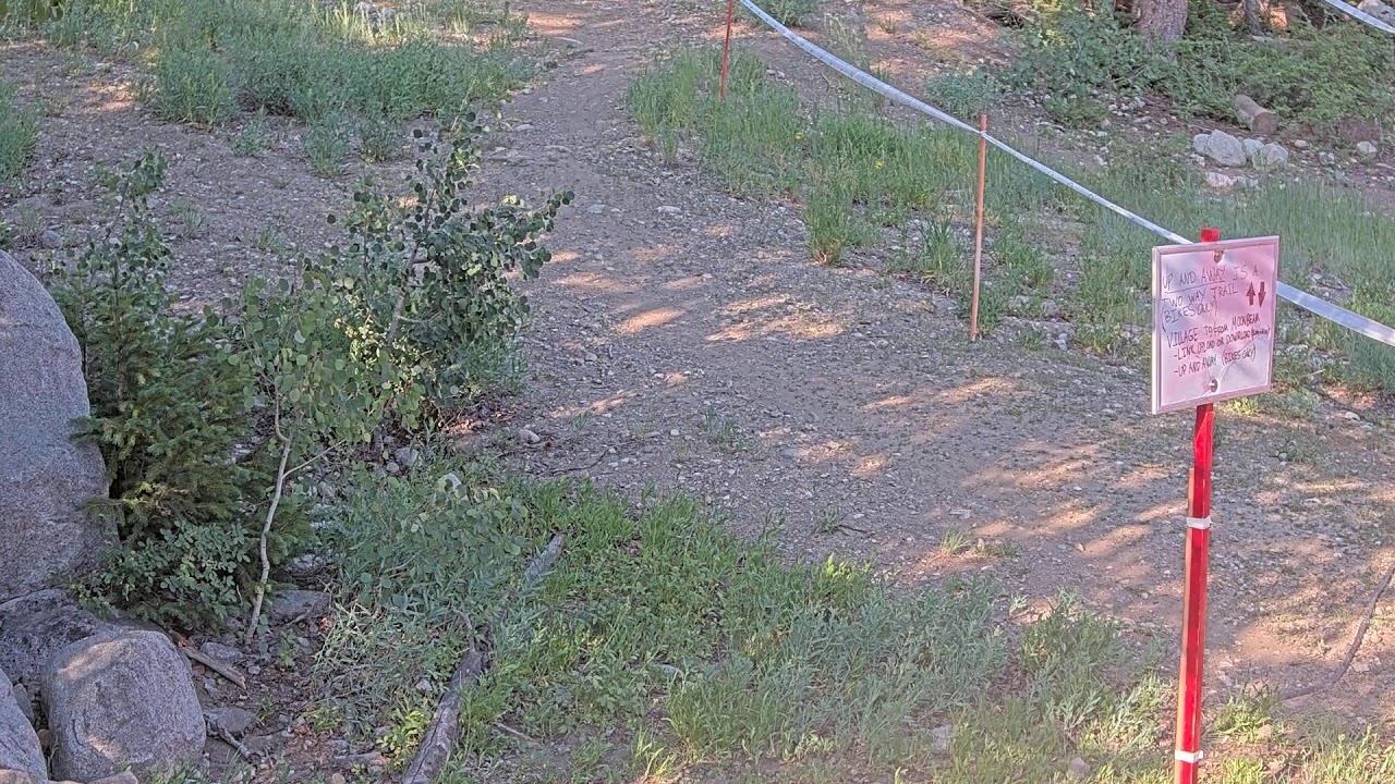 Link Lift Line