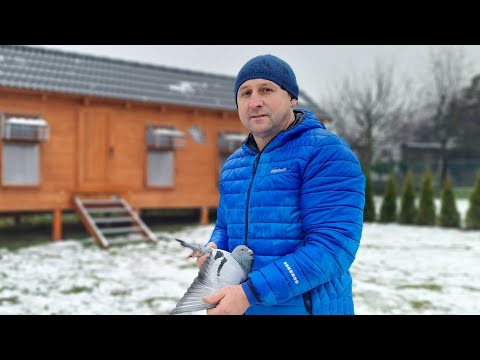 Piotr Bugała - PZHGP 0153 Ruda Śląska II / 8 Miejsce w Polsce Kat. B 🇵🇱🏆🎉🙋‍♂️