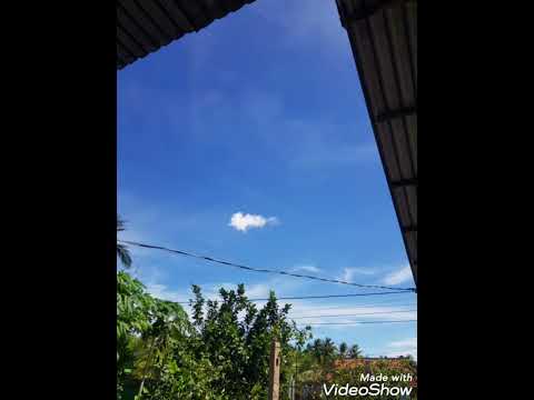 Thể hiện bởi Hoàng Triều
