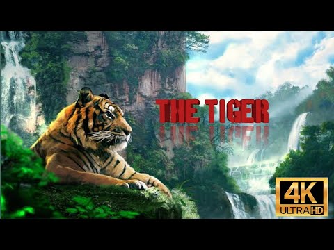 Animals Of The World 4K: Asian tiger, - Scenic Wildlife Film With Calming Music #amazing#trending