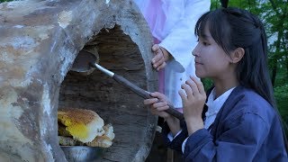 Video : China : Ginseng and honey