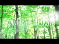 GOODBYE HORSES SLOWED CRUSHED SEMATARY