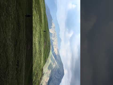 Ali Bedni Bugyal video 1
