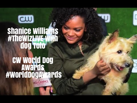 Shanice Williams #TheWizLIVE at the CW World Dog Awards Green Carpet #WorldDogAwards