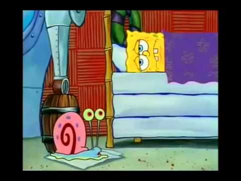 Moluscos - PIBID UFPR Biologia