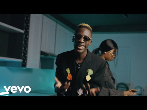 Dr Skaro - Lepotlelo ft. Memie, Mr Brown