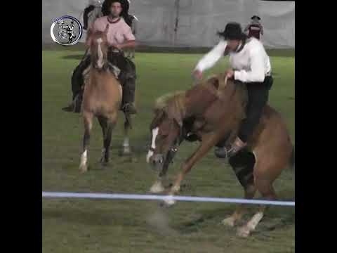 Monta especial de nuestro CAMPEON en Alejandra Santa Fe