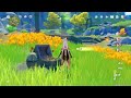 Head to the ruin to search for fragment | Genshin Impact