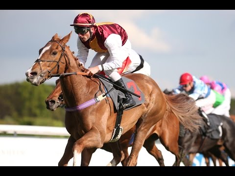 Köln: Dollmann-Antik-Rennen (D) - Sieger: Petite Paradise