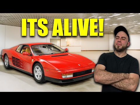 I Bring This 1988 Ferrari Testarossa  Back To Life!