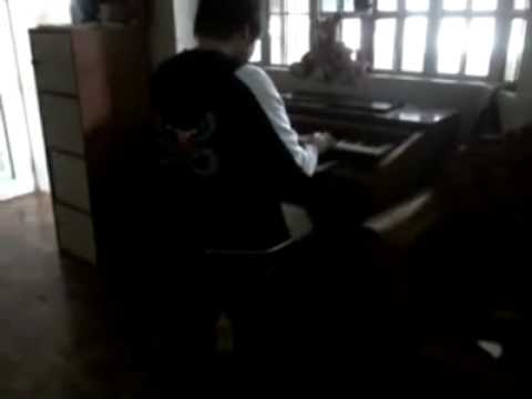 Aaron Austria - Bella's Lullaby and River flows in you Piano version