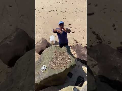Olha o que saiu nessa pescaria! #pescaria #joaopessoa #pesca