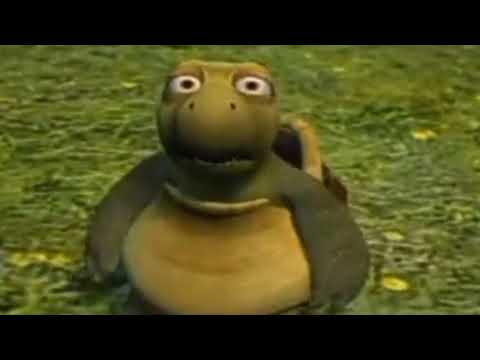 Vern The Turtle