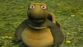 kura kura bengong meme/Verne the turtle over the Hedge meme