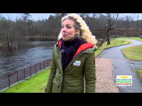 VingVinsten i Äspered