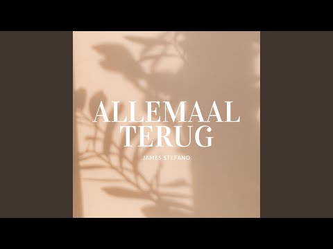 Allemaal Terug