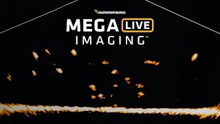 MEGA Live Imaging™ - MEGA Imaging in Live Motion | Humminbird