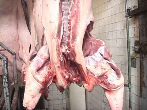 RESUMEN VIERNES 21 DE DICIEMBRE