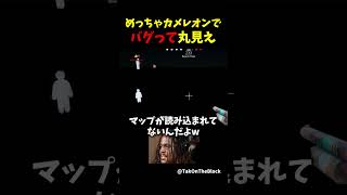 めっちゃカメレオンでバグって全部丸見え