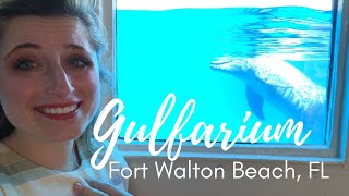 Gulfarium Marine Adventure Park- Fort Walton Beach, Florida 2020