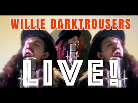 Willie Darktrousers -  live (alternative folkrock) | LIVE IN GÂRDEN