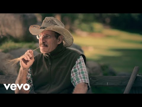 La Arrolladora Banda El Limón De Rene Camacho - Llamada De Mi Ex on Spotify Charts