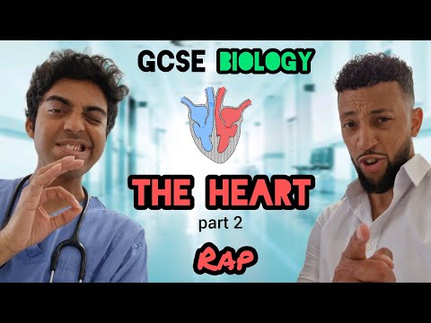 Science Raps: GCSE Biology - The Heart x Doctor Azmain