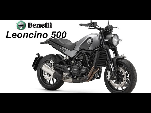NEW BENELLI LEONCINO 500 - Image 2