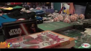 YouWin 40 Mallorca 2016