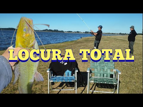 Increíble pesca en San Gregorio: tarariras, pejerreyes y un festival de bagres.
