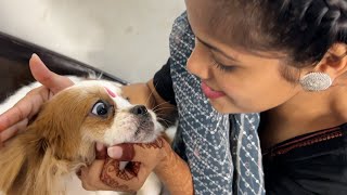 Jojo Rakhi bandhwa raha 😍